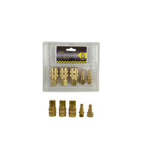5pc Air Quick Coupler Set